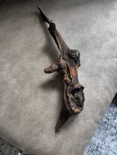 Treibholz Schwemmholz