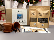 Anzuchtset Weihnachtsbaum -