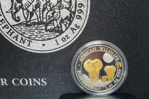 Somalia elephant 2014 - oz,
