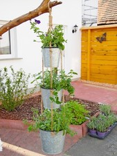 Blumenampel Hängeampel Zinkeimer Zink Eimer Sisal Blumen Blumentopf 90 cm hoch *