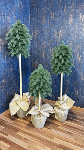 Advent weihnacht - advent,