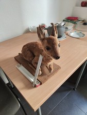 reh kitz Tierpräparat