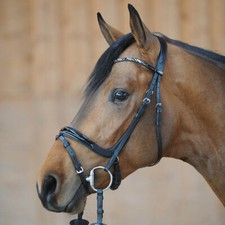 Kavalkade trense ivana mit - trense,