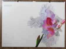 Original Pirelli Kalender aus