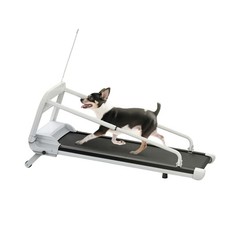 Professionelles Hundelaufband