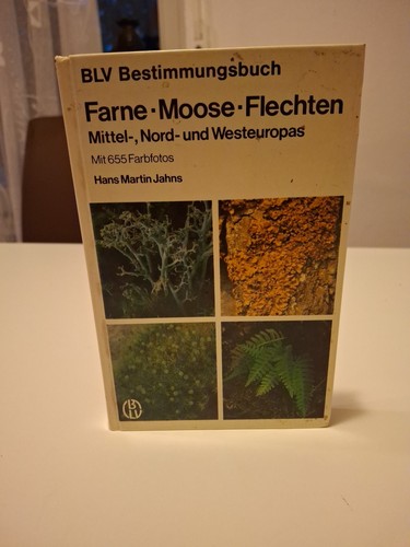 Farne moose flechten - moose, /