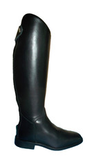 Cavallo junior kinder - cavallo,