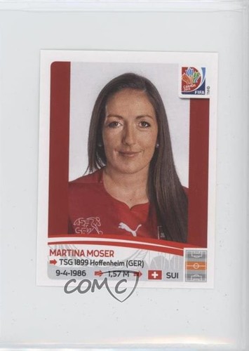 2015 panini fifa - 2015, world