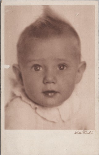 Lotte herrlich kinderkopf - lotte,