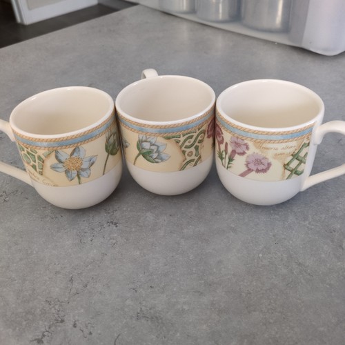 Wedgewood home garden - wedgewood,