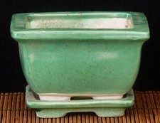 Bonsai - Bonsaischale mit