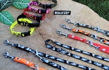 Welpenset Halsband + 3m Leine