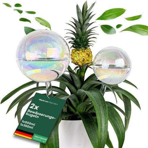 Bewässerungskugeln