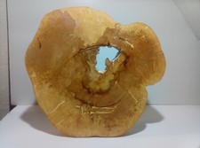 XL Große Baumscheibe, Holzdeko, Bastelholz, Couchtisch, Floristik, Ahorn