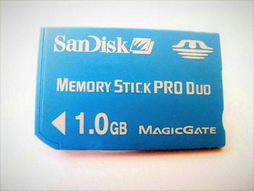 1gb memory stick - memory, pro