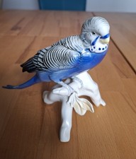 Porzellan wellensittich karl - porzellan,
