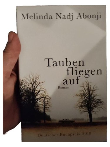 Tauben fliegen auf melinda - tauben,