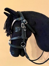 Mexikanische Hobby Horse