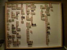 ältere Käfersammlung Mitteleuropa, über 30 Jahre alt (1)