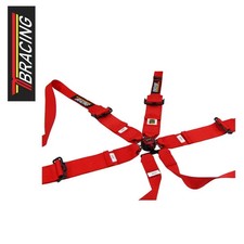 FIA 6-point suspender belt 2/3