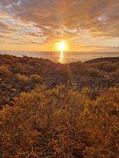 24 digital photos, images -