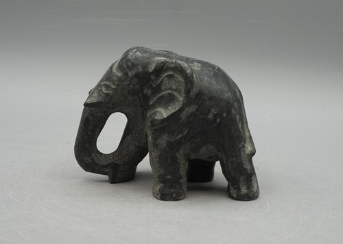 Wunderschöner elefant aus - wunderschöner,