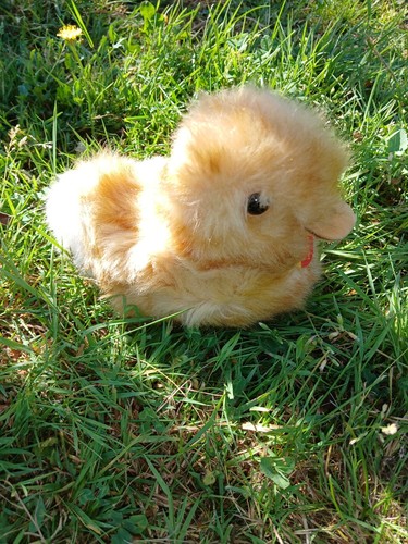 Vintage steiff ente waggi - ente, waggi"