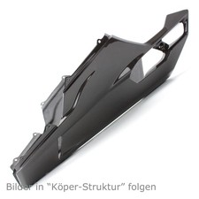 Carbon Bugspoiler für Ducati