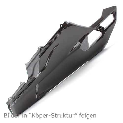 Carbon bugspoiler für ducati - bugspoiler,