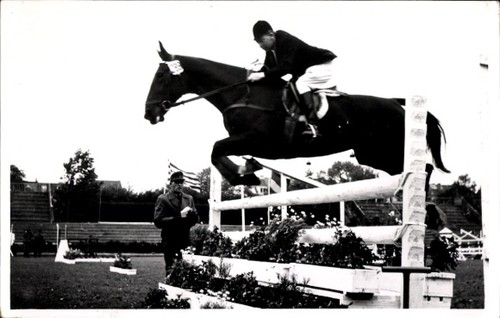 Foto springreiten sprung - foto, springreiten,