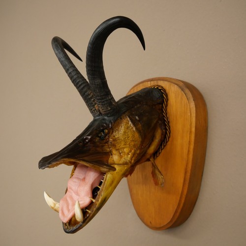 Fischwolpi wolpertinger hecht - fischwolpi,