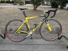 Giant TCR Team ONCE –