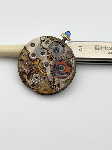 Anonym 24mm uhrwerk - uhrwerk,