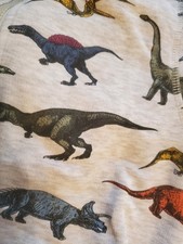 Kaputzensweatshirt, Hoody