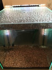 Garra Rufa Würfel Aquarium 50x50x50 Glasbecken + Sitzbank-Filterpumpen Schrank