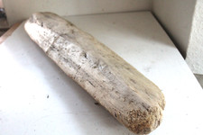 Schwemmholz Treibholz Brett