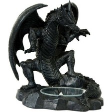 Drache schaut in Spiegel