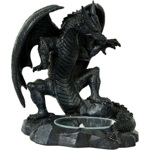 Drache schaut spiegel - schaut,