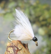 Gilchrist Fliegen