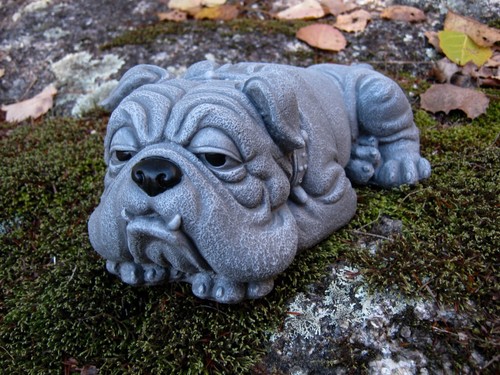 Bulldogge steinfigur hund - bulldogge,
