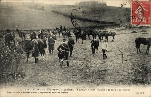Cpa forêt - forêt, de