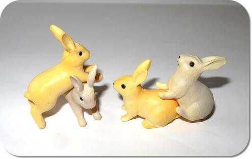 Miniatur hase kaninchen neu - hase,,