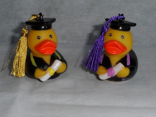 Diplom ente - diplom,