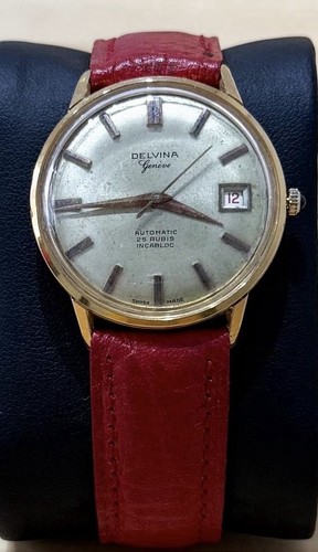 Delvina geneve - delvina,