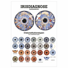 Irisdiagnose Poster Anatomie 70x50 cm medizinische Lehrmittel