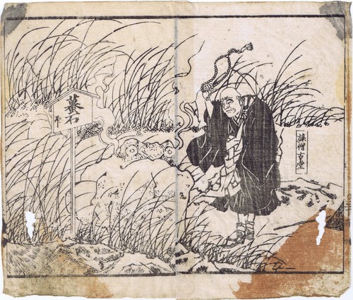Illustration kröte und - kröte,