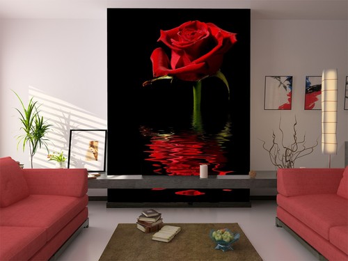 Rote rose zhuc15133 tapete - zhuc15133,