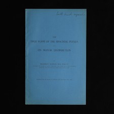 The True Form of the Brachial