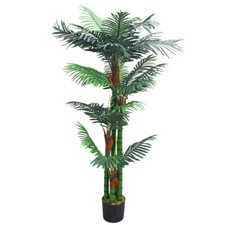 Palme palmenbaum arekapalme - palmenbaum,