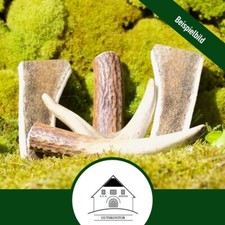 Kaugeweih für Hunde -5er Pack- Kauknochen Geweihsnack Hirschgeweih Geweihstück